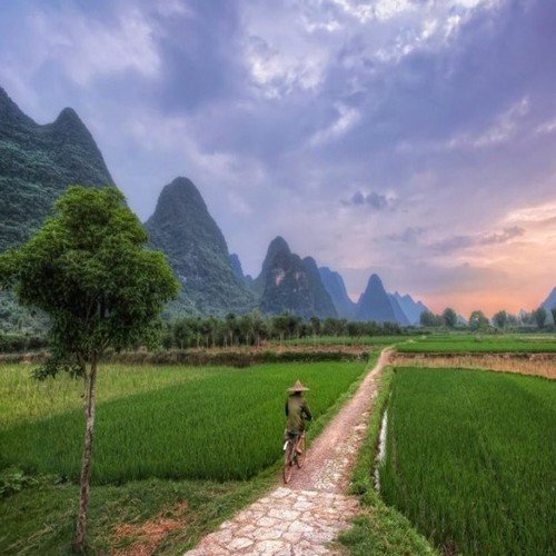Fietser in Yangshuo